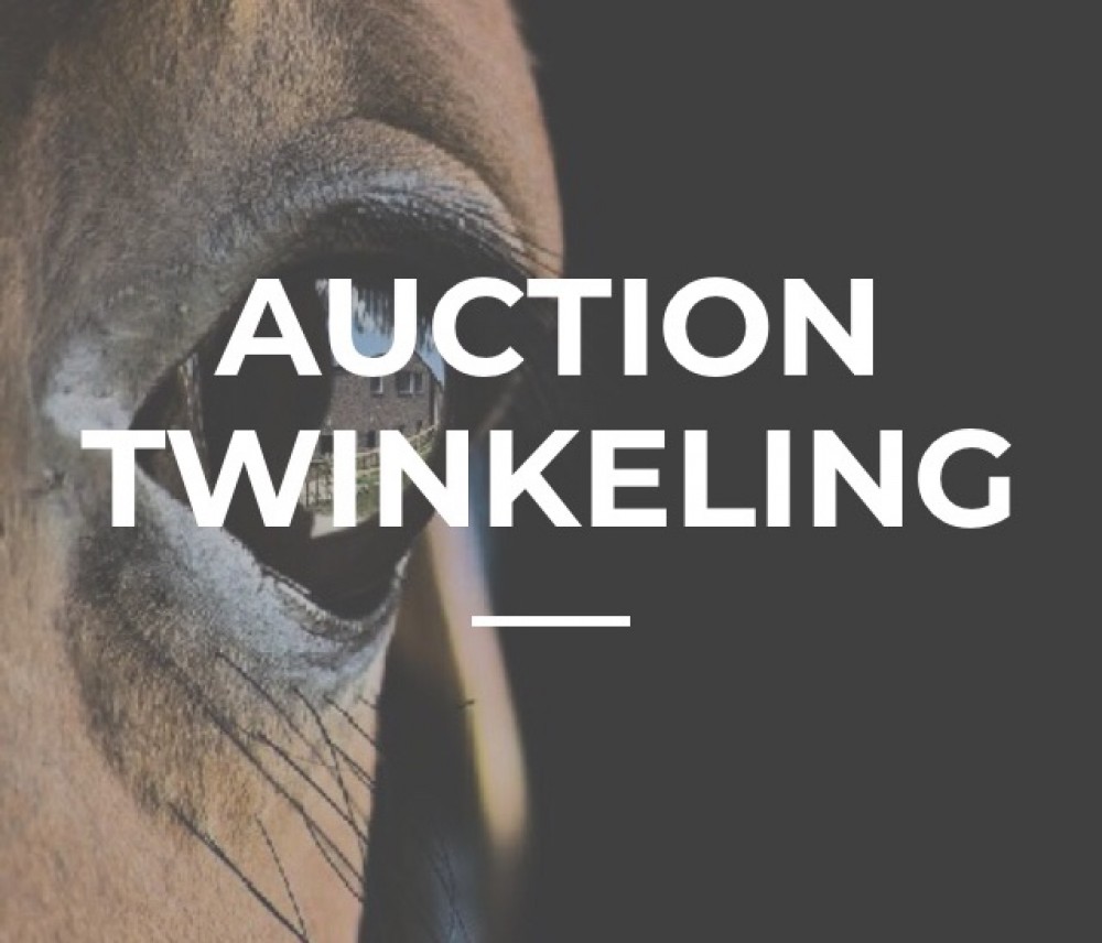 AUCTION TWINKELING MARCH 2018