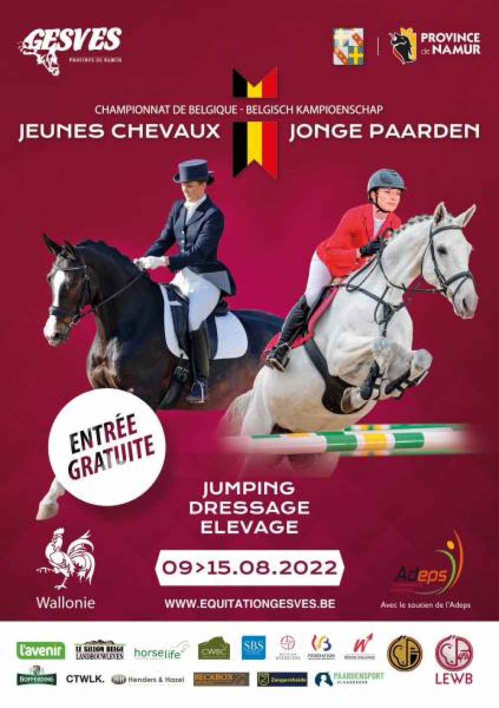championnat-de-belgique-jeunes-chevaux.jpeg