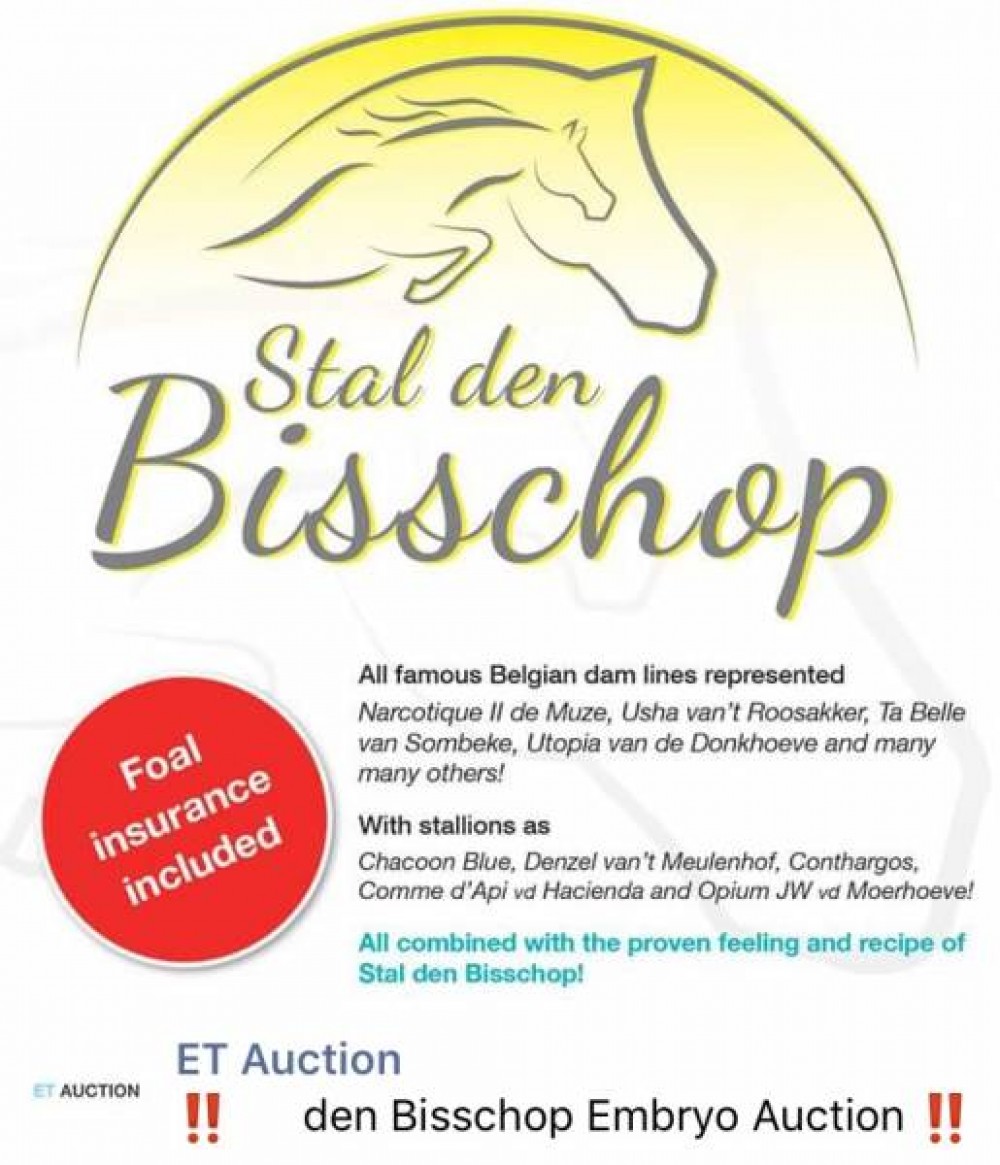 stal-den-bisschop-embryo-auction.PNG