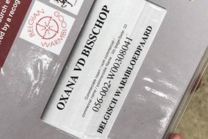 OXANA VD BISSCHOP - PASSPORT
